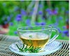天山绿茶选购技巧