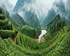 开化龙顶茶历史渊源