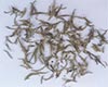 大白茶工艺
