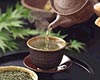 白豪银针茶