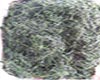龙须茶简介
