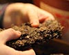 雅安藏茶冲泡方法