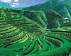 安溪茶叶地理环境