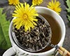 蒲公英茶图片