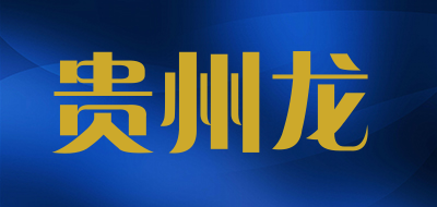 贵州龙品牌LOGO