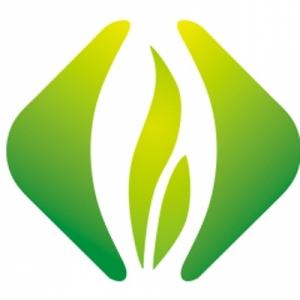 雀顶品牌LOGO