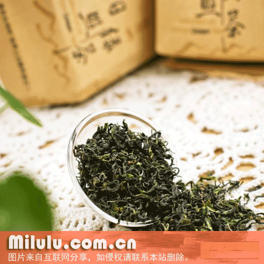 日照绿茶特产图片