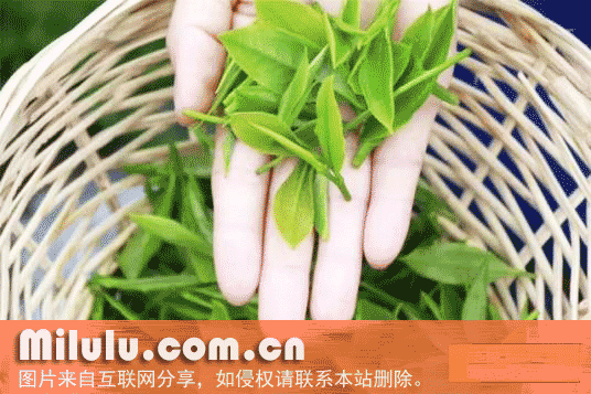 六龙茶特产图片