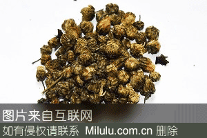 桐乡菊花茶特产图片