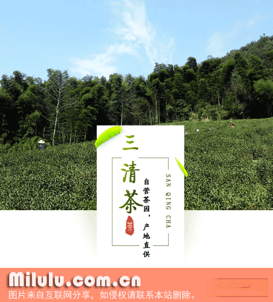 云石三清茶特产图片