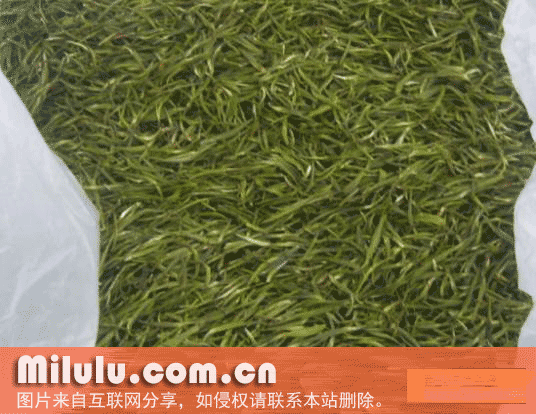富春堂雪水云绿茶特产图片