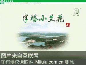 半塔茶叶特产图片