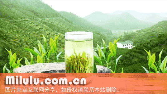 二祖禅茶特产图片