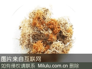 玉龙雪山山珍雪茶特产图片
