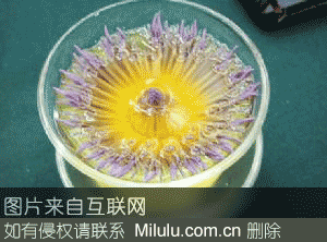 八品莲花茶特产图片