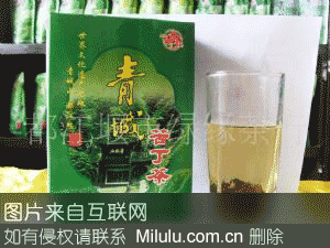 青城苦丁茶特产图片