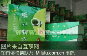 马湖春茶特产图片