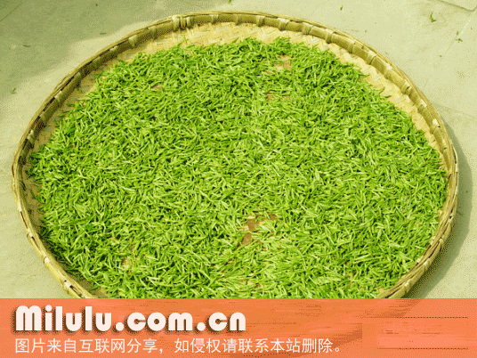 屯溪绿茶特产图片