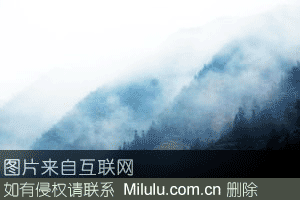 璜尖高山茶特产图片