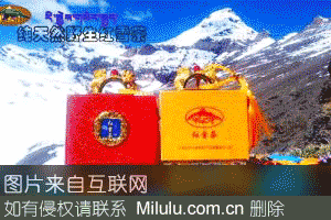 高原红雪茶特产图片