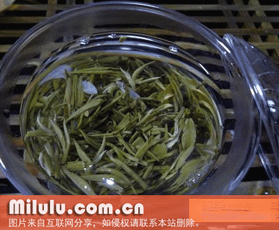碧毫茶叶特产图片