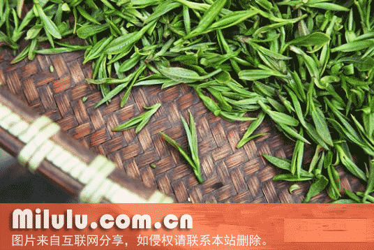 姑娘茶特产图片