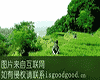 方坪香茗
