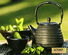 玛玉茶