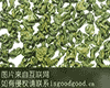 嵊州辉白茶