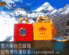 高原红雪茶