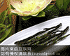 云台山苦丁茶